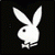 Аватар для rabbit